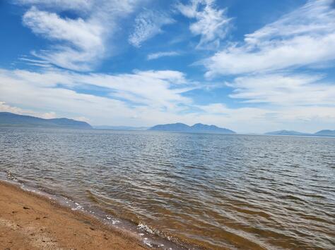 Выпуск нельмы в Красноярское водохранилище